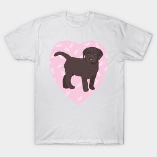 Chocolate Labrador Puppy Love Pink Heart T-Shirt